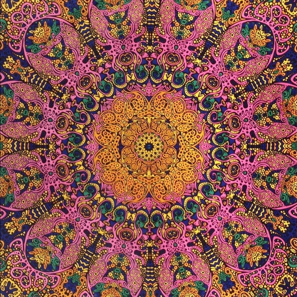 Mother of pugs - Picture 7 of 7